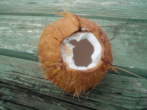 coconut-1324226-640x480