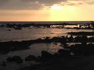 kona sunset by Nancy Bo Flood