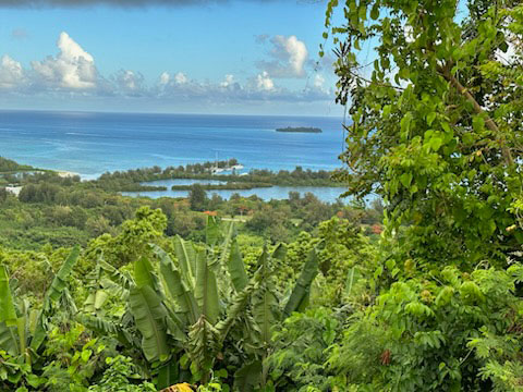 Saipan fauna